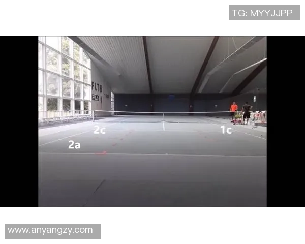 北京网球队运营体系探讨与战术分析的综合研究