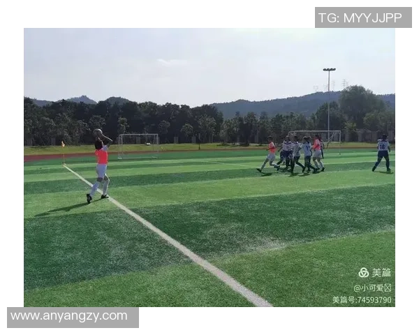 南京足球队与重庆足球队赛后心理素质分析及反思 南京足球队与重庆足球队赛后心理素质分析及反思