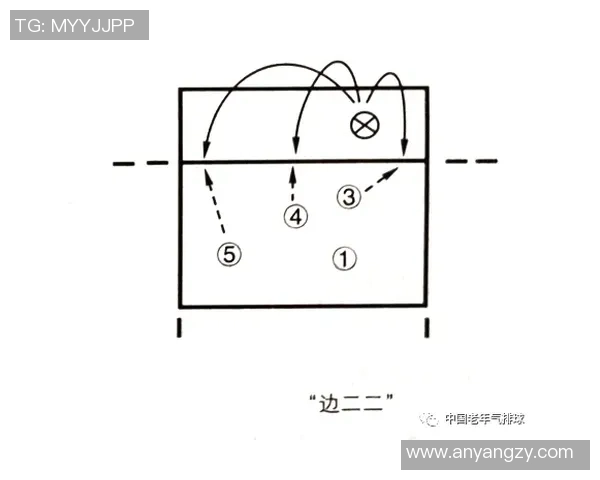 广州排球队反击战术深度解析与实战应用探讨 广州排球队反击战术深度解析与实战应用探讨