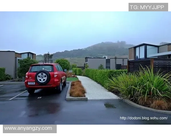 汽车足球明星贴膜助力车主彰显个性与运动激情的完美结合 汽车足球明星贴膜助力车主彰显个性与运动激情的完美结合