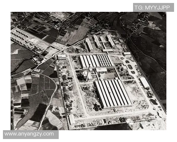 西安篮球队重塑辉煌之路探索转型与挑战的精彩历程